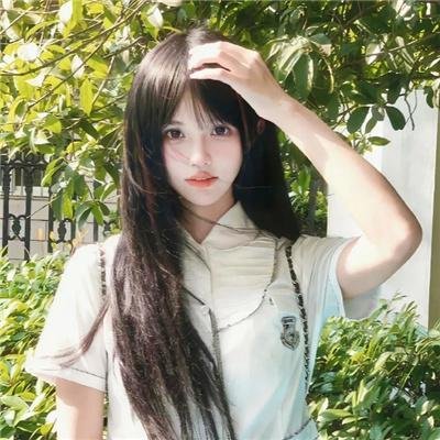 小鼠朋友